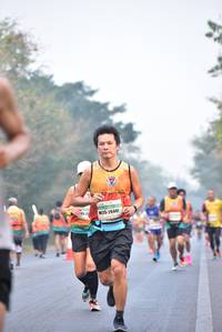 BIB: 26441
                            <button type="button" onclick="openModal(10130539)" class="btn btn-primary btn-sm float-right btn-popup" data-toggle="modal" data-target=".modal-high-quality">
                        <i class="fas fa-shopping-cart"></i> Add to Cart
                    </button>
                                            <button type="button" onclick="isThisMe(10130539, true)" class="btn btn-success btn-sm float-right btn-popup btn-isme hidden" data-toggle="tooltip" data-placement="bottom" title="นี่คือรูปของคุณใช่ไหม คลิกที่นี่เพื่อเอาเข้าอัลบั้ม">
                        <i class="fas fa-plus"></i> Add to album
                    </button>
                    <button type="button" onclick="isThisMe(10130539, false)" class="btn btn-warning btn-sm float-right btn-popup btn-isnotme hidden">
                        <i class="fas fa-ban"></i> Remove from album
                    </button>
